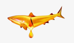 金色的鱼深海鱼油高清图片