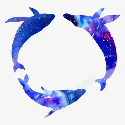 彩色的鲸鱼三头鲸鱼戏水水彩风蓝色高清图片
