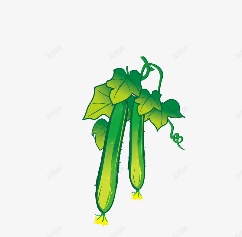 新鲜的黄瓜手绘图png免抠素材_新图网 https://ixintu.com 叶子 新鲜的 种植 蔬菜 藤蔓 黄瓜 黄瓜花