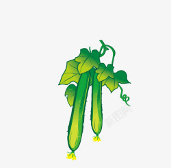 黄瓜叶子png新鲜的黄瓜手绘图高清图片