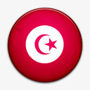 国旗突尼斯国世界标志图标图标