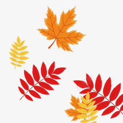 儿童秋季休闲裤红色的叶子矢量图高清图片