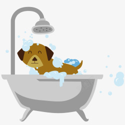 给狗洗澡喷头浴盆洗澡高清图片