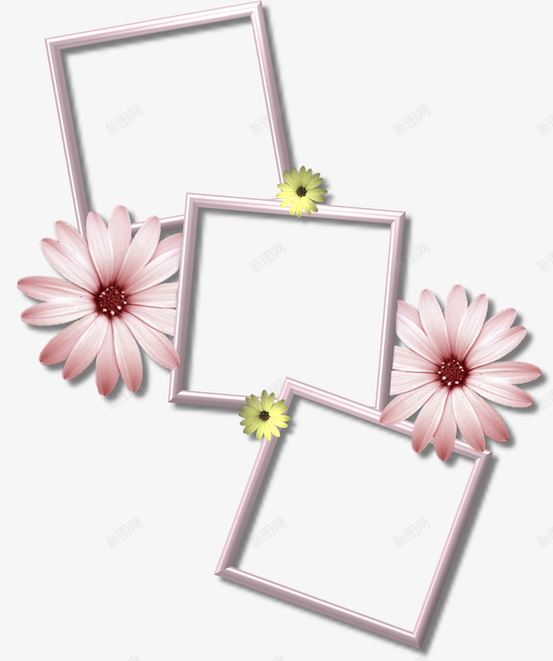 雏菊相框png免抠素材_新图网 https://ixintu.com 图案设计 相框 粉色相框 边框