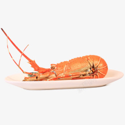 进口海虾美味进口龙虾高清图片