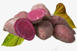 生红薯实物紫色地瓜高清图片