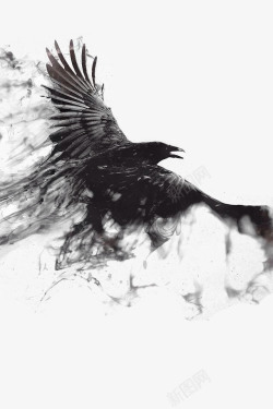 飞翔的乌鸦水墨乌鸦高清图片
