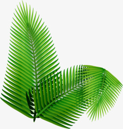 绿色热带芭蕉叶扁平装饰素材