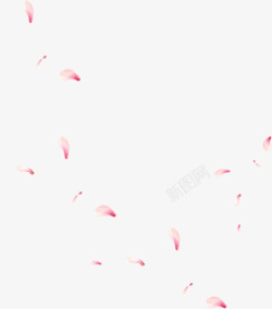 漂浮桃花中国风漂浮粉色花瓣高清图片