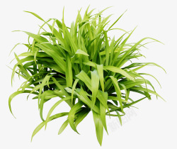 随风飘扬的小草小草高清图片