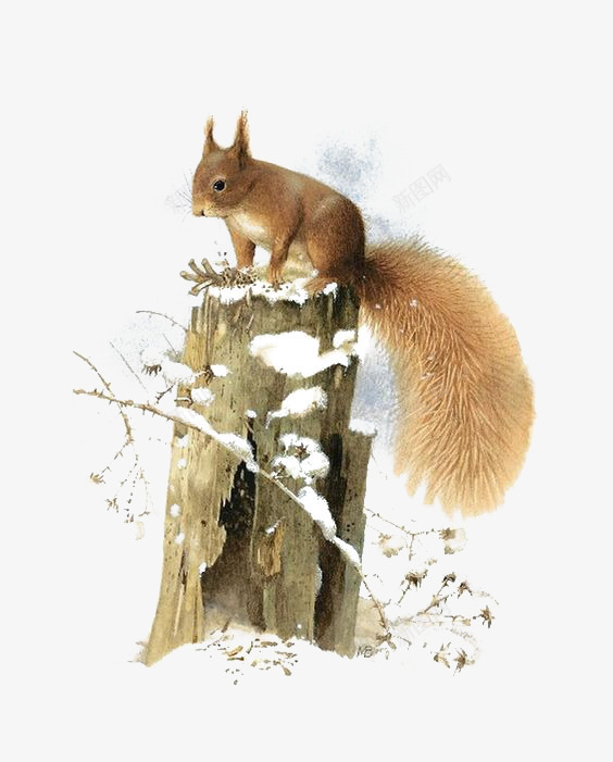 冬天松鼠png免抠素材_新图网 https://ixintu.com 下雪 冬天 动物 卡通 手绘 插画 木桩 松鼠