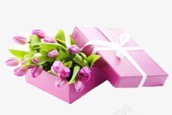 粉色盒子玫瑰花素材