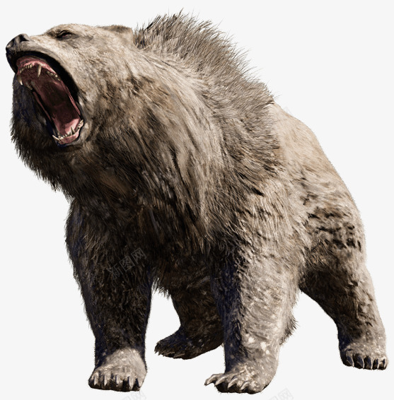 大吼的棕熊png免抠素材_新图网 https://ixintu.com png png图片 免抠 凶狠 吼叫 咆哮 灰熊 狗熊