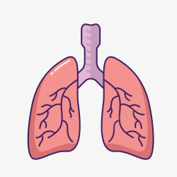 医疗肺模型装饰案矢量图素材