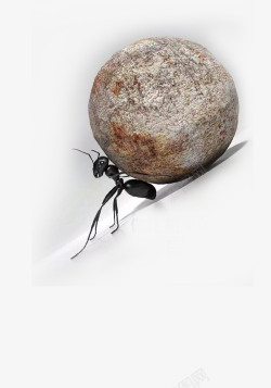 奋斗的蚂蚁励志教育奋力抵挡石头的蚂蚁高清图片