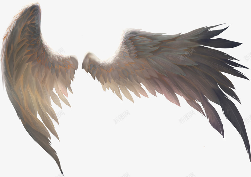 彩色翅膀png免抠素材_新图网 https://ixintu.com 两个翅膀 图片 暗黑翅膀 彩色 素材 翅膀