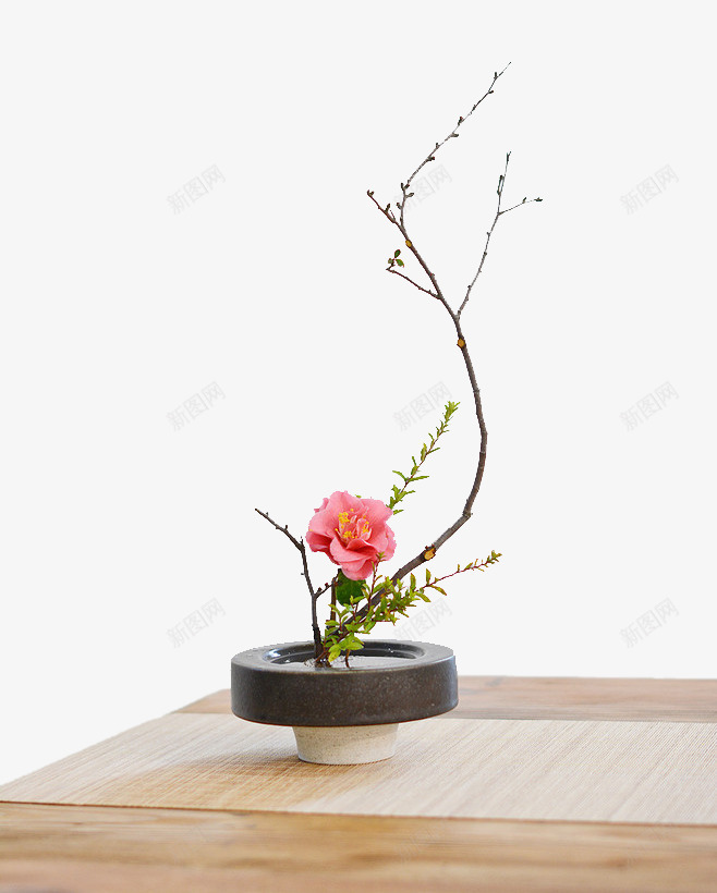 桌子上的盆景png免抠素材_新图网 https://ixintu.com 树枝 桌子 盆栽 背景装饰 鲜花