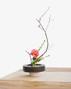 盆栽鲜花笔刷桌子上的盆景高清图片