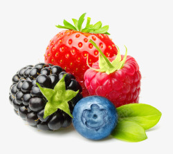 高清草莓png水果组合蓝莓桑葚新鲜水果高清图片