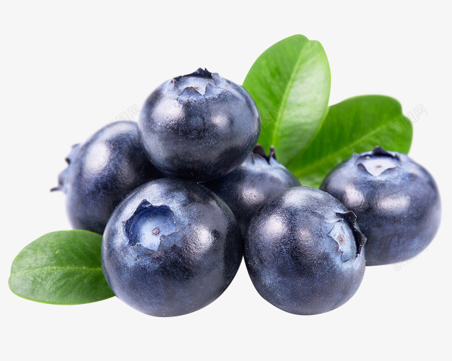 水果蓝莓png免抠素材_新图网 https://ixintu.com  蓝莓 新鲜 紫色 酸甜可口 水果 装饰 高清