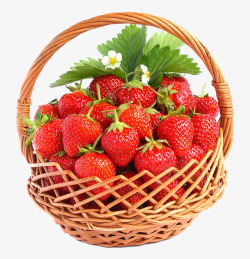 瓜果食材草莓高清图片