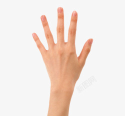 人手伸开的手掌手势图高清图片