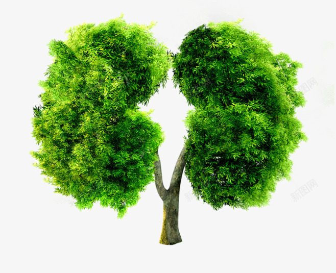 绿色肺部形状树木png免抠素材_新图网 https://ixintu.com 树木 植物元素 环保素材 绿色叶子 肺部 肺部创意