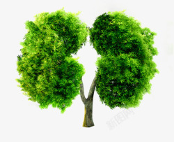 psd树木绿色肺部形状树木高清图片