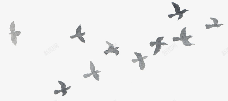 正在飞翔的鸟的手绘png免抠素材_新图网 https://ixintu.com 创意 小清新 手绘 水彩动物 自由 装饰 飞翔 飞鸟 鸟儿