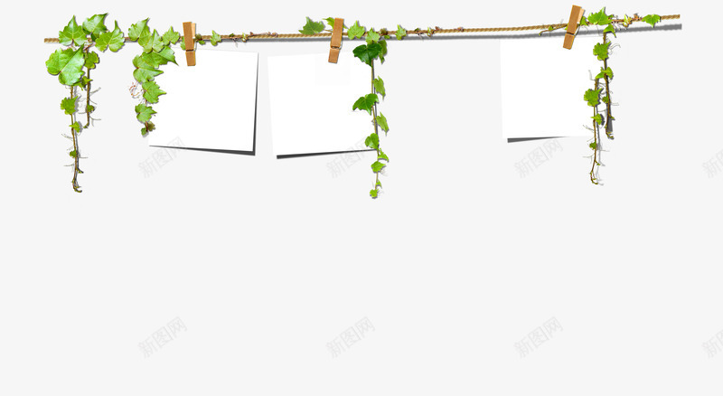 相框照片墙植物绿叶png免抠素材_新图网 https://ixintu.com 植物 照片 照片墙排版 绿叶