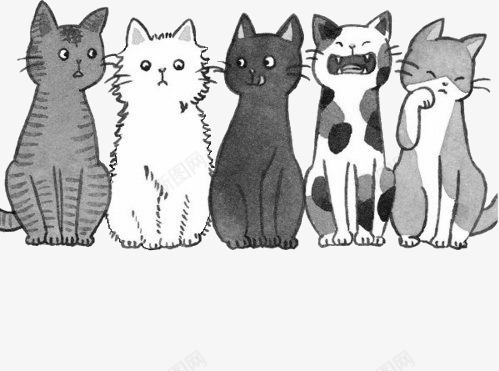 猫咪排排坐png免抠素材_新图网 https://ixintu.com 可爱 品种 斑点 猫咪