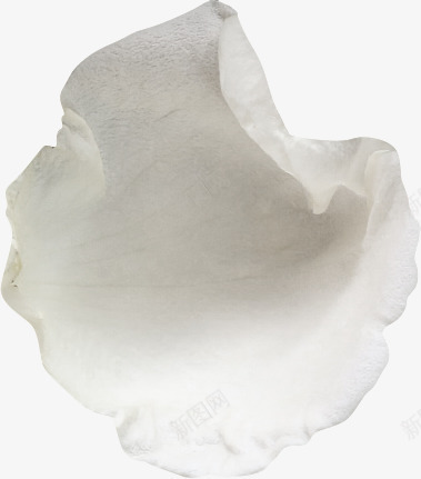 卡通手绘白色的花瓣png免抠素材_新图网 https://ixintu.com 创意 卡通手绘 玫瑰花瓣 白色的花瓣 简约 美丽的花瓣