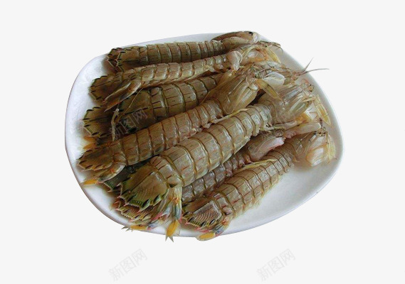 海里皮皮虾png免抠素材_新图网 https://ixintu.com 海鲜 皮皮虾 盘子 食物