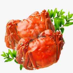 海鲜盖饭螃蟹和绿叶高清图片