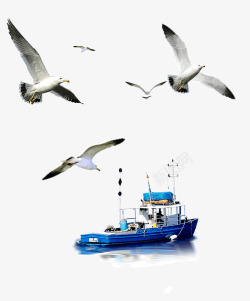 海边椰子树风光海鸥和轮船高清图片