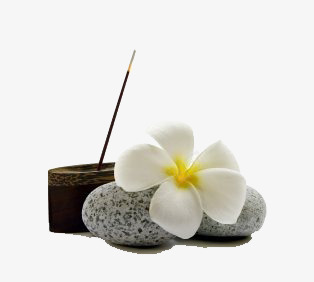 石头png免抠素材_新图网 https://ixintu.com 化妆品 护肤 白色花朵 美容 装饰 鹅卵石