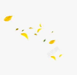 飘零树叶飘零的黄色树叶高清图片