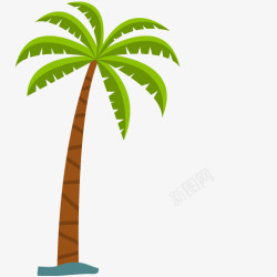 棕色椰子树单棵棕色树干绿色叶子椰棕树高清图片