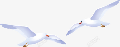 海鸥png免抠素材_新图网 https://ixintu.com 动物鸟 海鸟 飞鸟