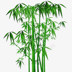 绿叶竹子竹叶漂浮小清新素材