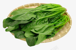 绿色菠菜筛子里的菠菜高清图片