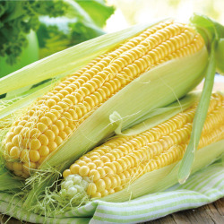 农产品玉米嫩玉米农产品绿色食品高清图片
