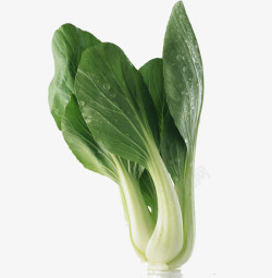 菜卡通食物蔬菜油菜高清图片