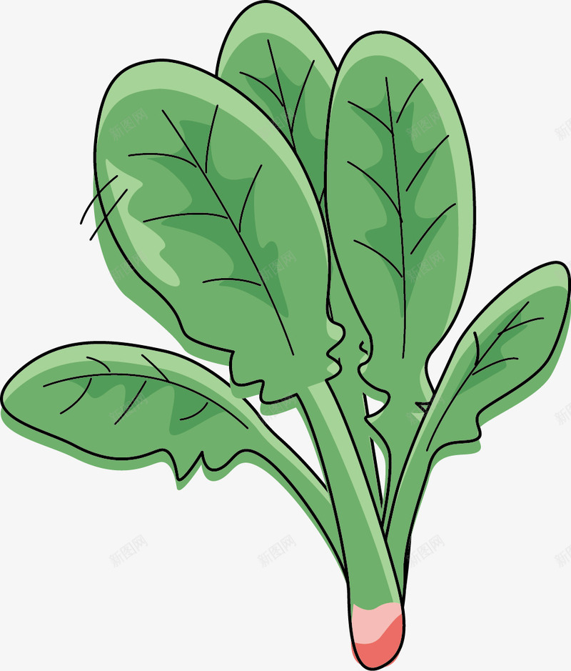 一根蔬菜png免抠素材_新图网 https://ixintu.com 卡通 叶子 手绘 根部 桔梗 红色 纹理 绿色 蔬菜