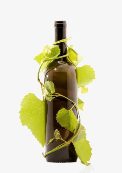 创意酒瓶葡萄枝蔓缠绕瓶子高清图片