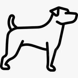 品种狗杰克罗素梗图标高清图片