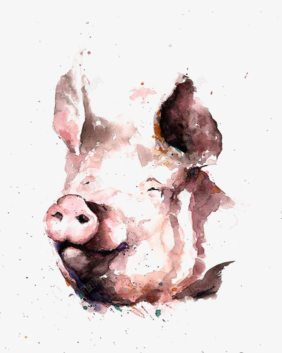 水彩小猪png免抠素材_新图网 https://ixintu.com 宠物猪 小猪 小猪插画 手绘小猪 母猪 粉色小猪
