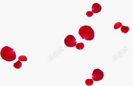 漂浮的玫瑰花瓣png免抠素材_新图网 https://ixintu.com 红玫瑰 飘落 红色 花瓣 素材