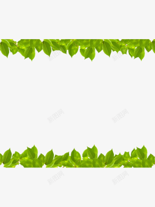 好看的绿色树叶边框png免抠素材_新图网 https://ixintu.com 好看的边框 树叶边框 漂亮的边框 绿色边框