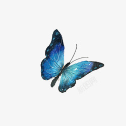水彩精美蓝色蝴蝶素材
